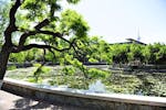 nankai campus grounds pond
