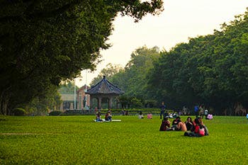 Sun Yat-sen University Lawn