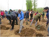Central University of Finance and Economics (CUFE) tree planting international students
