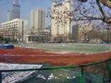 Nanjing University Su Zhe Sports Ground