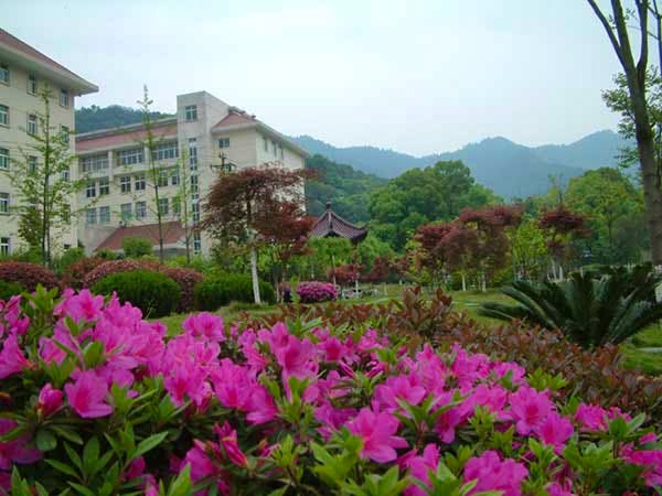 Dongyue Campus